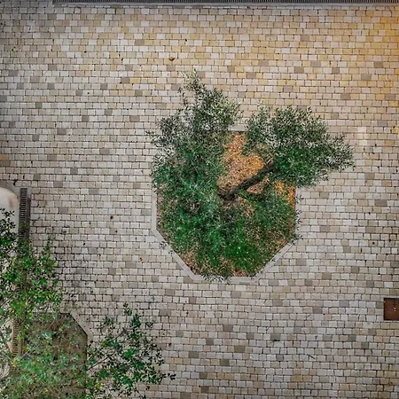 Σπίτι διακοπών Calma Blanca